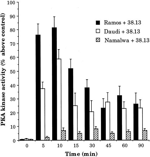 Fig. 5. Kinetics of PKA activity changes in BL cells treated by 38.13 MoAb. CD77+ Ramos and Daudi cells and CD77− Namalwa cells were cultured with 38.13 anti-CD77 MoAb, and PKA activities were measured. Initial PKA activity was 3,100 pmol/min/mg of protein for Ramos, 1,975 for Daudi, and 4,500 for Namalwa cells.