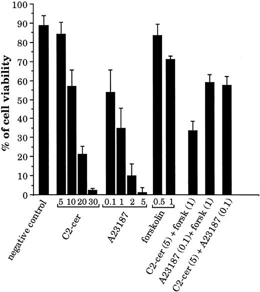 Fig. 7. Effect of C2-ceramide, calcium ionophore, and forskolin on viability of the CD77+ Daudi BL cells. Cells were cultured for 24 hours with various concentrations of C2-cer (from 5 to 30 μmol/L), calcium ionophore A23187 (from 0.1 to 5 μmol/L), or forskolin (0.5 and 1 mmol/L) and also with combinations of these molecules: C2-cer (5 μmol/L) + forskolin (1 mmol/L), A23187 (0.1 μmol/L) + forskolin (1 mmol/L), and C2-cer (5 μmol/L) + A23187 (0.1 μmol/L). The percentage of cell viability was obtained by propidium iodide (PI) staining and FACS analysis.