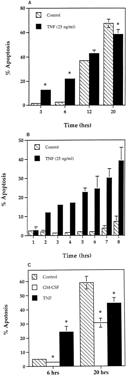 Fig. 1. Time course for the effect of TNF-α on apoptosis in human neutrophils. Human neutrophils (5 × 106/mL) were incubated in MDM containing 10% autologous serum alone (▧), or in the presence of 25 ng/mL TNF-α (▪) or 50 U/mL GM-CSF (□) at 37°C. At the time periods indicated, the cells were resuspended and cytocentrifuge preparations made. These were fixed, stained, and percent apoptosis assessed morphologically. (A) Represents the effects of TNF-α after 3, 6, 12, and 20 hours of incubation with the results from a separate series of experiments over a 1- to 8-hour time course shown in (B). The comparative effects of GM-CSF on neutrophil apoptosis at 6 and 20 hours are shown in (C). All values represent mean ± SEM of n = 3 separate experiments, each performed in triplicate (*P < .05 compared with time-matched controls). Where not shown, SEM values are less than 2% of means.