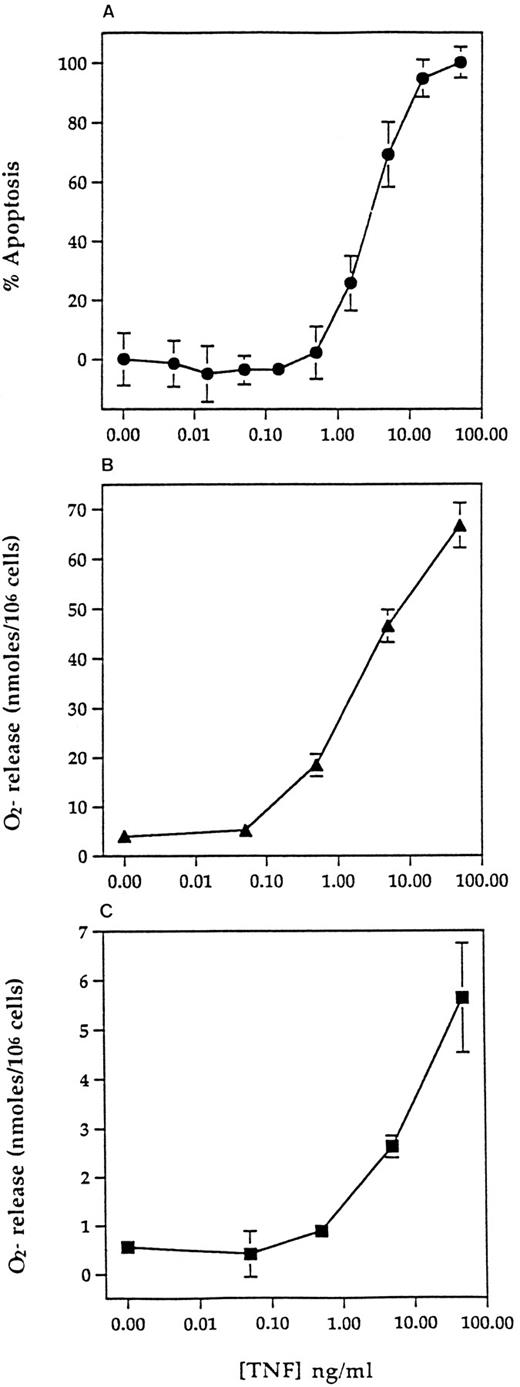 Fig. 4. Concentration-response relationships for TNF-α–induced apoptosis, priming, and direct superoxide anion generation. Human neutrophils were prepared and incubated at 5 × 106/mL with 0 to 100 ng/mL TNF-α for 6 hours for assessment of apoptosis (A) or at 107/mL with 0 to 100 ng/mL TNF-α for 30 minutes before assessment of fMLP-stimulated (100 nmol/L, 10 minutes) (B) or direct superoxide anion generation (10 minutes) (C) using a cytochrome C reduction assay (see Materials and Methods). Values represent mean ± SEM of n = 3 separate experiments, each performed in triplicate. Where not shown, SEM values are less than 2% and fall within the symbols.