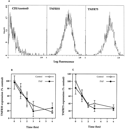 Fig. 6. Time-course for TNFR55 and TNFR75 expression in the presence and absence of PAF. (A) Flow cytometric analysis of CD2 (negative control), TNFR55, and TNFR75 receptor expression in freshly isolated neutrophils. Histograms represent profiles of cell count against log fluorescence and are representative examples from nine separate experiments. (B and C) Human neutrophils (5 × 106/mL) were incubated in MDM containing 10% autologous serum in the presence or absence of PAF (1 μmol/L) for 5 minutes before incubation for 1 to 6 hours in flexiwell plates at 37°C. At these time points TNFR55 (B) and TNFR75 (C) expression was quantified by flow cytometry as detailed in Materials and Methods. Data represent percent of specific receptor expression values obtained in freshly isolated cells with each point being the mean ± SEM of three separate experiments, each performed in triplicate.