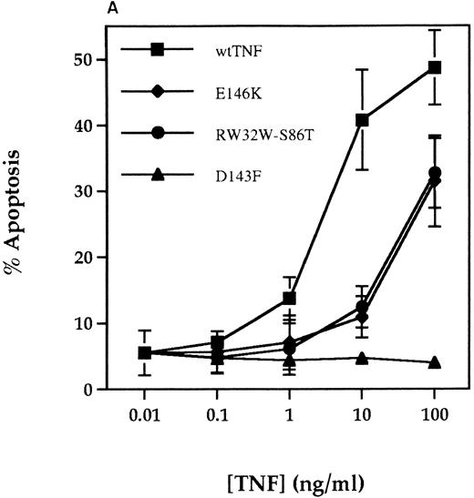 Fig. 8. Effect of TNF-α receptor selective mutants on human neutrophil apoptosis. (A) Human neutrophils were incubated with 0.01 to 100 ng/mL of wildtype TNF-α (wtTNF-α, ▪), the TNFR55-selective mutants R32WS86T (•) or E146K (♦), and the TNFR75 selective mutant D143F (▴). Apoptosis was assessed morphologically after 3 hours. Data represent mean ± SEM of three experiments each performed in triplicate. (B) Neutrophils were incubated under identical conditions with 0 to 100 ng/mL wild-type TNF-α, 10 to 100 ng/mL E146K, or 10 to 100 ng/mL D143F. Thereafter the cells were pelletted and incubated overnight in sodium acetate/EDTA/proteinase K/1% SDS before phenol/chloroform DNA extraction as detailed in Materials and Methods. After precipitation with ethanol, 10 μg of DNA was loaded per lane and separated on a 1.2% agarose gel.