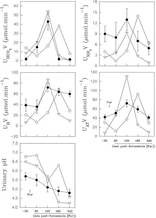 Fig. 5. Effect of furosemide on urinary acidification in eight normal controls (•) and in band 3–deficient patients II.1 (○) and II.2 (▿). Normal control values are presented as mean ± SD.