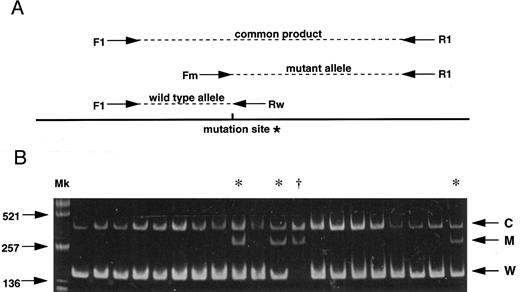 Fig. 1. (A) Strategy for the AS-PCR. Each allele is distinguished by its product size. A common product is amplified from both alleles by the primers F1 and R1. The primer Fm recognizes only the mutant allele sequence while the primer Rw recognizes only the wild-type sequence. *G to A mutation (C282Y) creates a new Rsa I site. (B) Results of 20 subjects screening demonstrating 16 normal subjects, 3 carriers (*) and 1 homozygote (†). C, common product; M, mutant allele; W, wild-type allele; Mk, size marker (Alu I–digested pUC19).