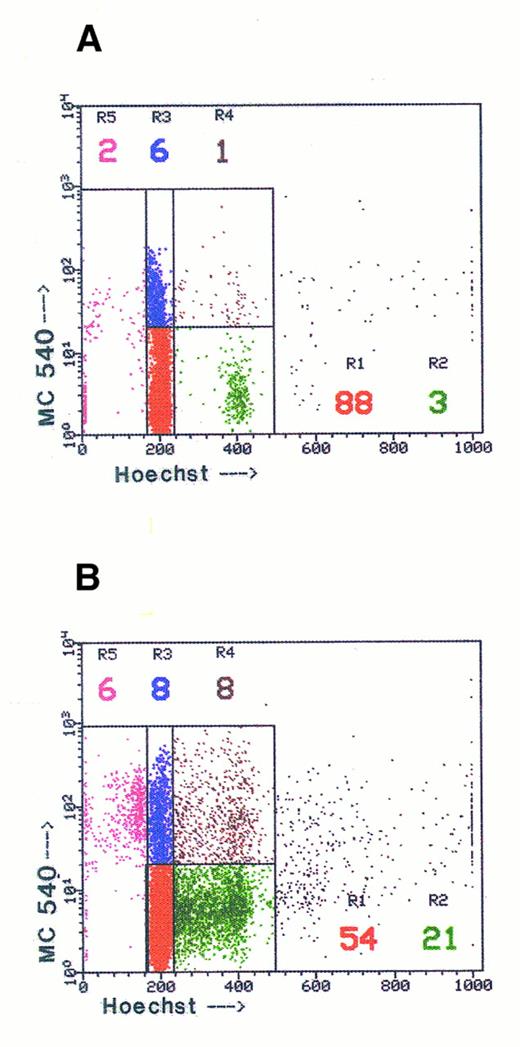 Fig. 3. Characterization of viable versus apoptotic cells by a dual staining flow cytometry technique. Resting, murine B cells were cultured either without stimulant (A) or with 50 μg/mL lipopolysaccharide for 48 hours. The cells recovered at 48 hours were dually stained with Hoechst 3342 and merocyanine 540 (MC540) as described460 and the cells were analyzed on a FACS Star Plus flow cytometer (Becton Dickinson, San Jose, CA). Dual parameter dot plots enabled the identification of five distinct subpopulations defined as follows: R1, cells with 2n DNA that were MC540 negative/dull (red dots); R2, cells with greater than 2n DNA that were MC540 negative/dull (green dots); R3, cells with 2n DNA that were MC540 bright (blue dots); R4, cells with greater than 2n DNA that were MC540 bright (brown dots); and R5, cells that displayed reduced Hoechst 33342 staining and were either G0 /G1 (R1) or S/M/G2 (R2) cell cycle stages. The R3 and R4 subgroups represent cells in early stages of apoptosis, whereas the R5 subgroup represents fragmenting apoptotic cells. Most techniques for evaluating percentages of apoptotic cells detect only the cells localized to the R5 subgroup. Figure courtesy of E. Charles Snow, PhD.