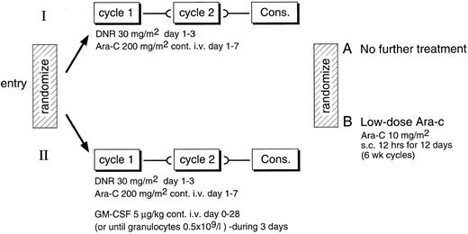 Fig. 1. Schema of study.