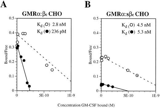 Fig. 5. Scatchard transformation of saturation binding studies performed on CHO cells coexpressing (A) GMRα and full-length βc or (B) GMRα and soluble βc (sβc ). Binding assays were performed with 125I-labeled GM-CSF over a concentration range of 10 pmol/L to 10 nmol/L. After binding had reached equilibrium, the cells were washed briefly and either lysed directly (○) or subjected to five 15-minute washes to remove ligand bound with low affinity (•). The dashed line indicates the best fit for nondissociated binding and the solid line indicates the best fit for dissociated binding.
