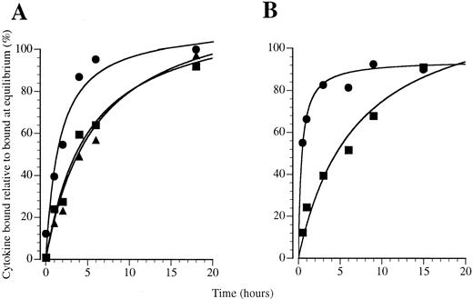 Fig. 7. Association kinetics of 125I-labeled cytokines binding to (A) eosinophils and (B and C) monocytes at 4°C with 200 pmol/L 125I-CSF: (•) GM-CSF, (▪) IL-3, and (▴) IL-5.