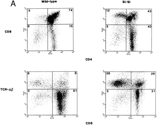 Fig. 2. (A) Phenotypic analysis of thymocytes from Sl/Sl and wt control mice. Thymocytes were stained with FITC-conjugated CD4 MoAb and PE-conjugated CD8 MoAb (upper panel) or FITC-conjugated CD8 MoAb and PE-conjugated TCR α/β MoAb (lower panel), and analyzed by flow cytometry. Data are from a representative group of mice. Numbers in quadrants indicate the percentage of the total population from a representative group of mice. Nine wt control and 16 Sl/Sl mice were examined. (B) Phenotypic analysis of thymocytes from Sl/Sld mice and wt control mice. Thymocytes were stained with FITC-conjugated CD4 MoAb and PE-conjugated CD8 MoAb (upper panel) or FITC-conjugated CD8 MoAb and PE-conjugated CD3 MoAb (lower panel), and analyzed by flow cytometry. Data are from a representative group of mice. Numbers in quadrants indicate the percentage of the total population from a representative group of mice. Seven wt control and 11 Sl/Sld mice were examined.