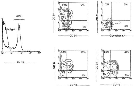Fig. 5. Engraftment of drug-resistant human PBPCs in NOD/Scid mice. A representative highly engrafted NOD/Scid mouse transplanted with 400 × 103 drug-resistant PBPCs and 1 × 106 L87/4 stromal cells was analyzed 6 weeks after transplantation by three-color flow cytometry. The percentage of positive cells per each quadrant is indicated. Cells were stained with Cy-C–labeled anti-human CD45 antibody and compared with cells stained with Cy-C isotype control. Dead cells were excluded by their intense 7AAD staining, and viable cells were gated according to their human CD45 expression (horizontal line in the histogram). Sixty-one percent of CD45+ human cells were present in the BM of this mice. As shown in the contour plots, among these CD45+ cells 19% (corresponding to 11% of all cells) were CD13+ (myeloid), 53% (corresponding to 32% of all cells) were CD19+ (lymphoid), 1% were CD34+/CD38− (early hematopoietic progenitors), 2% were CD61+ (megakaryocytic), and 5% were glycophorin A+ (erythroid).