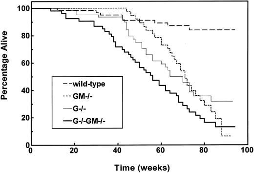 Fig. 4. Impaired survival of growth factor–deficient mouse strains. Mixed-gender cohorts of wild-type (n = 60), GM−/− (n = 44), G−/− (n = 62), and G−/−GM−/− (n = 53) mice were set aside after successful weaning and studied until death or distress necessitating killing. Survival is plotted according to the method of Kaplan and Meier, and P values are based on comparisons using the log-rank test. Survival of G−/−, GM−/−, and G−/−GM−/− strains was impaired relative to wild-type mice (P < .0001). Survival of G−/−GM−/− mice was inferior to both G−/− and GM−/− animals (each P ≤ .022).