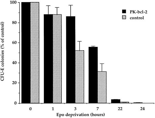 Fig. 5. Survival of transgenic and normal fetal liver CFU-E after Epo deprivation. Erythroid cells from 13-day old fetal livers were maintained in the absence of Epo for the indicated times and then plated in semisolid medium at a concentration of 2 × 105 cells/mL in the presence of 2 U/mL of Epo. CFU-E–derived colonies were scored at day 2. Results are expressed as the average number of colonies of duplicate cultures from two independent experiments.