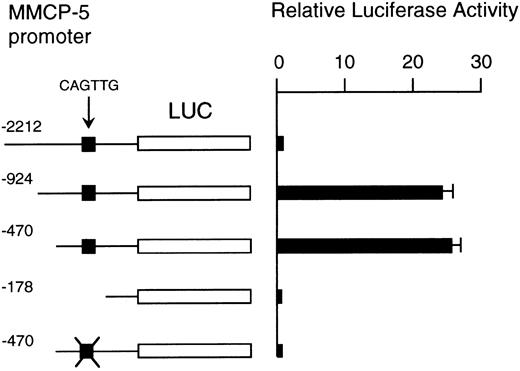 Fig. 5. Luciferase activity in FMA/3 cells under the control of the normal, deleted, or mutated MMCP-5 promoter. The value of the luciferase activity was divided by the value obtained with the reporter plasmid starting at nt −178 and is shown as the relative luciferase activity. The data represent the mean ± standard error (SE) of three experiments. In some cases, the SE was too small to be shown by the bars.