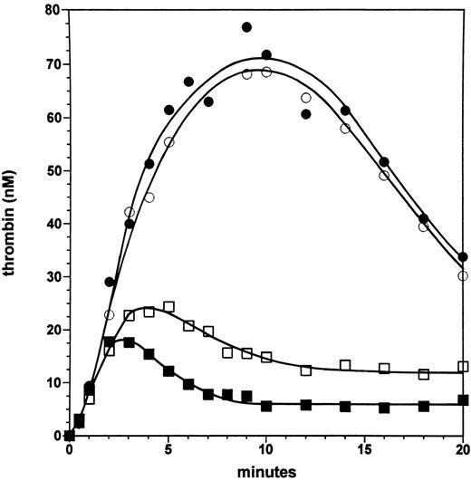 Fig. 2. Effect of the factor VLEIDEN mutation in the absence and presence of the protein C pathway. Thrombin formation is shown for reactions initiated by 5 pmol/L factor VIIa⋅TF at 6% of the normal plasma concentration of factor VIII in the presence of normal factor V (solid symbols) and factor VLEIDEN (open symbols) in the absence (circles) or presence of protein C and 1 nmol/L thrombomodulin (squares).