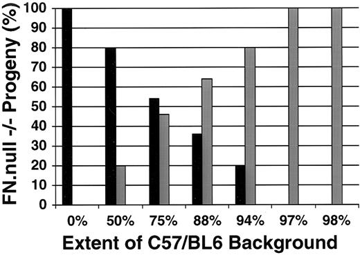 Fig. 1. Genetic background affects the severity of the FN.null phenotype. The percentage of more severe (black bars) and less severe (gray bars) FN.null homozygous embryos is presented in relation to the increasing extent of strain C57/BL6 genetic background. As the extent of C57/BL6 genetic background increases, the percent of mutant embryos displaying the more severe phenotype decreases. On pure 129/Sv background (0% C57/BL6), all mutant embryos are of the more severe class, lacking overt heart development. In contrast, by the sixth breeding generation to the C57/BL6 strain (98% C57/BL6), all mutant embryos display the less severe phenotype, with a visibly detectable primitive heart.