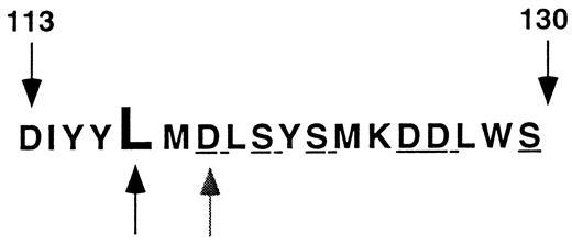 Fig. 5. Region of β3 affected by the Leu117 → Trp mutation. The amino acid sequence of the region of β3 extending from residues 113 to 130 is shown in the single letter code. Leu117 is designated by the darker arrow and Asp119 by the lighter arrow. The polar and charged amino acids mutated in Bajt and Loftus23 are underlined.