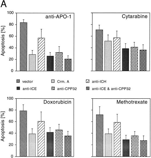 Fig. 3. Effects of CrmA and antisense cDNA constructs complementary to single ICE proteases on apoptosis. (A) Inhibition of apoptosis in MG63 cells by cDNA microinjection. Cells (8 × 105) were seeded in 60-mm tissue dishes. After overnight incubation, cell nuclei were microinjected with a CrmA expression plasmid or antisense constructs targeting ICH-1, ICE, or CPP32. Cell injections were performed with an automatic microinjection system equipped with glass micropipettes loaded with DNA and Texas red-labeled dextran. After 20 hours after microinjection, cells were treated with anti–APO-1, CR, DX, or MT as described in Fig 1 and incubated for a further 48 hours. Anti–APO-1 treatment was applied in the presence of 5 μg/mL cycloheximide, which was not toxic by itself. Cells were fixed with 2.5% glutaraldehyde and inspected microscopically. Microinjected cells were identified by red fluorescent staining. Cells were regarded as apoptotic when they showed membrane blebbing and/or a condensed cell nucleus. At least 180 cells were analyzed for each condition. The values represent the mean ± SD from three independent experiments. (B) Effect of cDNA expression after electroporation of CEM cells. Cells (2 × 108) were transfected the antisense constructs using an electroporator (975 μF, 230 V). After electroporation, cells were seeded at 1 × 106 cells/well in 6-well plates. Eight hours later, cells were treated with G-418 to deplete untransfected cells. Dead cells were removed after a further 36 hours by a washing step in a Ficoll-Paque gradient. The enriched population containing 65% to 88% of transfected cells was then treated with anti–APO-1 for 4 hours or with CR, DX, or MT at the concentrations indicated in Fig 1 for 20 hours. Apoptosis was measured by propidium iodide/Hoechst 33342 uptake using flow cytometry. Data are given as the mean percentage of cell death from four experiments with duplicate samples. / (C) Morphologic analysis of doxorubicin-induced apoptosis after microinjection of CrmA cDNA and antisense constructs complementary to ICE family members in SHEP cells. Cells were microinjected as described in (A) using 0.2% Texas red-dextran together with cDNA constructs encoding (a) empty pCDNA-3 vector, (b) pSV25S-CrmA, (c) antisense ICE, and (d) antisense CPP32. Eight hours after transfection, cells were treated with anti–APO-1, CR, DX, and MT and evaluated 30 hours later by two independent scientists. Microinjected cells were identified by red fluorescent staining (left panel) and are indicated by arrows (right panel). The scale bar represents 20 μm. Quantitative values of specific inhibition after scoring of about 300 cells were 58% for CrmA, 62% for pCDNA-3-a300h.ICE, 61% for pCDNA-3-a300h.CPP32, and 64% for the mixture of ICE and CPP32 antisense constructs microinjected together. / (D) Long-term protection from drug-induced apoptosis by antisense constructs. CEM cells were transfected with empty vector, antisense ICE, or CPP32 constructs and selected in G418-containing medium for 36 hours. Cells were then treated with the indicated cytotoxic drugs. After 30 hours, cells were harvested and limiting dilutions (1:3) were performed, starting from 3 × 104 cells per well. Cell viability was assayed by trypan blue exclusion after 14 days. The highest dilutions still containing living cells are indicated. Samples of cells transfected with control vector did not contain living cells after 14 days of drug treatment; therefore, the vector alone bar is not included. Control indicates the clonogenicity of vector-transfected cells without drug treatment. The data represent experiments with quadruplicated samples. Standard deviations were in the range of one dilution step.