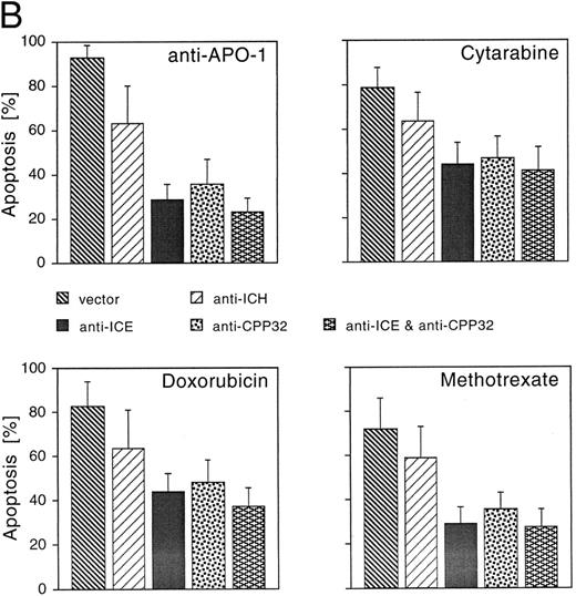 Fig. 3. Effects of CrmA and antisense cDNA constructs complementary to single ICE proteases on apoptosis. (A) Inhibition of apoptosis in MG63 cells by cDNA microinjection. Cells (8 × 105) were seeded in 60-mm tissue dishes. After overnight incubation, cell nuclei were microinjected with a CrmA expression plasmid or antisense constructs targeting ICH-1, ICE, or CPP32. Cell injections were performed with an automatic microinjection system equipped with glass micropipettes loaded with DNA and Texas red-labeled dextran. After 20 hours after microinjection, cells were treated with anti–APO-1, CR, DX, or MT as described in Fig 1 and incubated for a further 48 hours. Anti–APO-1 treatment was applied in the presence of 5 μg/mL cycloheximide, which was not toxic by itself. Cells were fixed with 2.5% glutaraldehyde and inspected microscopically. Microinjected cells were identified by red fluorescent staining. Cells were regarded as apoptotic when they showed membrane blebbing and/or a condensed cell nucleus. At least 180 cells were analyzed for each condition. The values represent the mean ± SD from three independent experiments. (B) Effect of cDNA expression after electroporation of CEM cells. Cells (2 × 108) were transfected the antisense constructs using an electroporator (975 μF, 230 V). After electroporation, cells were seeded at 1 × 106 cells/well in 6-well plates. Eight hours later, cells were treated with G-418 to deplete untransfected cells. Dead cells were removed after a further 36 hours by a washing step in a Ficoll-Paque gradient. The enriched population containing 65% to 88% of transfected cells was then treated with anti–APO-1 for 4 hours or with CR, DX, or MT at the concentrations indicated in Fig 1 for 20 hours. Apoptosis was measured by propidium iodide/Hoechst 33342 uptake using flow cytometry. Data are given as the mean percentage of cell death from four experiments with duplicate samples. / (C) Morphologic analysis of doxorubicin-induced apoptosis after microinjection of CrmA cDNA and antisense constructs complementary to ICE family members in SHEP cells. Cells were microinjected as described in (A) using 0.2% Texas red-dextran together with cDNA constructs encoding (a) empty pCDNA-3 vector, (b) pSV25S-CrmA, (c) antisense ICE, and (d) antisense CPP32. Eight hours after transfection, cells were treated with anti–APO-1, CR, DX, and MT and evaluated 30 hours later by two independent scientists. Microinjected cells were identified by red fluorescent staining (left panel) and are indicated by arrows (right panel). The scale bar represents 20 μm. Quantitative values of specific inhibition after scoring of about 300 cells were 58% for CrmA, 62% for pCDNA-3-a300h.ICE, 61% for pCDNA-3-a300h.CPP32, and 64% for the mixture of ICE and CPP32 antisense constructs microinjected together. / (D) Long-term protection from drug-induced apoptosis by antisense constructs. CEM cells were transfected with empty vector, antisense ICE, or CPP32 constructs and selected in G418-containing medium for 36 hours. Cells were then treated with the indicated cytotoxic drugs. After 30 hours, cells were harvested and limiting dilutions (1:3) were performed, starting from 3 × 104 cells per well. Cell viability was assayed by trypan blue exclusion after 14 days. The highest dilutions still containing living cells are indicated. Samples of cells transfected with control vector did not contain living cells after 14 days of drug treatment; therefore, the vector alone bar is not included. Control indicates the clonogenicity of vector-transfected cells without drug treatment. The data represent experiments with quadruplicated samples. Standard deviations were in the range of one dilution step.