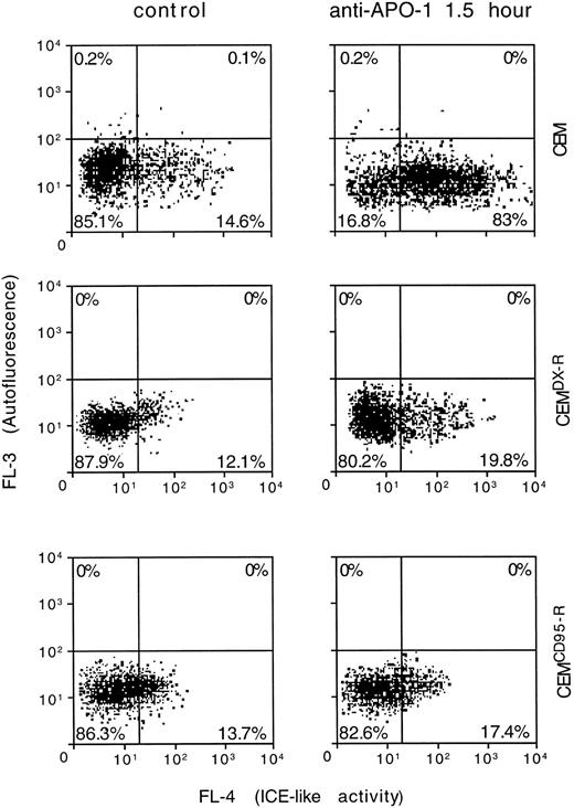 Fig. 5. Caspase activation in sensitive, CD95-resistant, and DX-resistant CEM cells. Sensitive (CEM), CD95-resistant CEM (CEMCD95-R), and DX-resistant CEM cells (CEMDX-R) were treated for 1.5 hours with anti–APO-1 (1 μg/mL). Caspase activity was measured by FACS analysis as described in Fig 1.