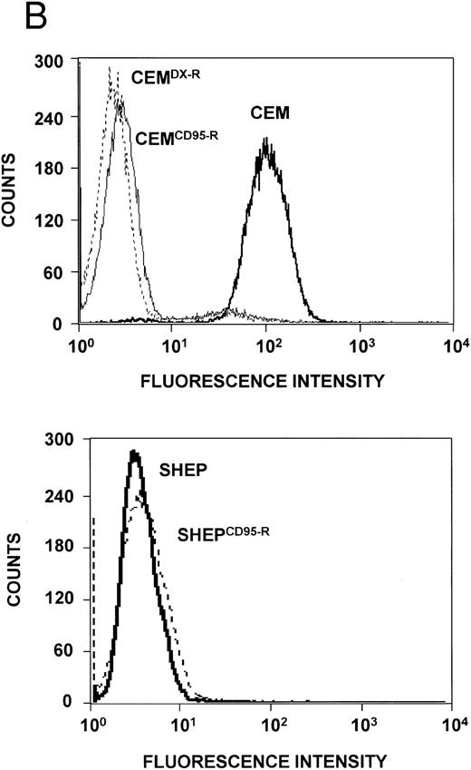 Fig. 6. Expression levels of Bcl-2–related proteins and P-gp (MDR-1). (A) Expression of Bcl-2–related proteins. Western blot analysis of CEM, CD95-resistant CEM (CEMCD95-R), DX-resistant CEM (CEMDX-R), SHEP, and CD95-resistant SHEP (SHEPCD95-R) cell lysates was performed using mouse anti–Bcl-2 monoclonal, rabbit anti–Bcl-xL polyclonal, and rabbit anti-Bax polyclonal antibody and ECL. (B) Assessment of P-gp (MDR-1) expression. P-gp expression of CEM (solid line), CD95-resistant CEM (CEMCD95-R; thin line), DX-resistant CEM cells (CEMDX-R; broken line), SHEP (solid line), and CD95-resistant SHEP cells (SHEPCD95-R; broken line) was determined by FACS analysis using P-gp (MDR-1) monoclonal antibody UIC2. Representative experiments of three performed are shown.