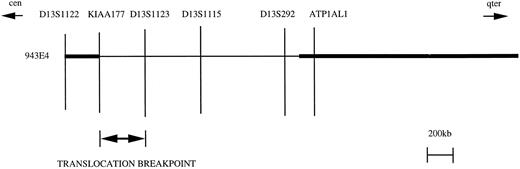 Fig. 2. Summary of the physical map in 13q12 encompassing the 8; 13 translocation breakpoint. The relative positions of the markers in YAC 943E4 are shown based on reports by Guilford et al7 and Still et al.8 The YAC is indicated by the horizontal bar, and the physical map relative to the breakpoint region is shown above. The thin horizontal line within the YAC indicates the presence of a deletion based on the absence of markers as determined by PCR. The map is oriented relative to the 13 centromere (cen) and the long arm telomere (qter). The 8; 13 translocation breakpoint lies between KIAA177 and D13S1123 as determined by somatic cell hybrid analysis.