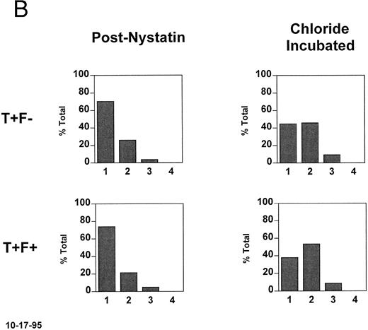 Fig. 3. Density changes that occur in T+ sickle cells during short oxygenated incubations and their dependence on HbF. Fraction II cells were treated with nystatin to normalize their K+ content and hydration and incubated for 20 minutes at pH 7.2 in the presence and absence of chloride. A secondary density fractionation was performed and the T+ cells were identified. (A) The secondary density distributions of all RBCs, T− cells, and T+ cells before nystatin treatment, after nystatin treatment, and after incubation of the normalized cells in the presence or absence of chloride. The expected chloride-dependent density shift in T+ cells takes place. (B) For the postnystatin and chloride-incubated samples, cells were also analyzed for HbF, and the density distributions of T+F− and T+F+ cells were determined. Both subtypes had the same tendency to become more dense when incubated under these conditions.