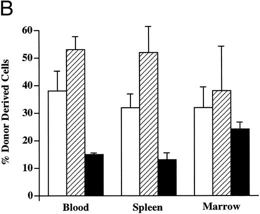Fig. 4. Donor-derived multilineage hematopoiesis. The PB, BM, and spleen of chimeric recipients was evaluated for the presence of Ly5.1+ donor cells 4 weeks after in utero transplantation. (A) The percentage of total cells that express either a lineage-specific marker and/or Ly5.1 in the PB of a representative recipient is indicated. (B) The mean and SEM of the frequency of lineage-specific, donor-derived cells in the PB, BM, and spleen of chimeric recipients (n = 6) is shown. (□) CD3; (▨) B220; (▪) Mac-1/Gr-1.