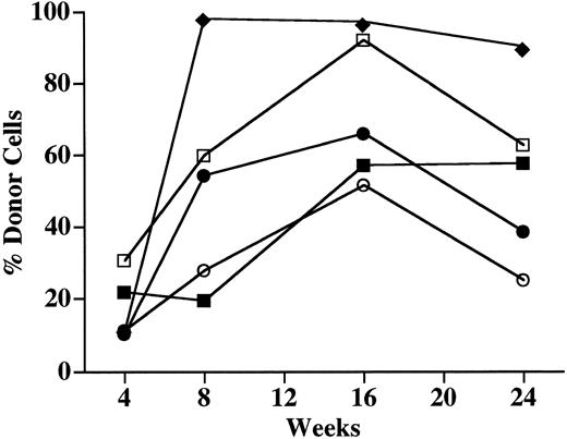 Fig. 5. Engraftment of the PB of NOD/SCID recipients over time. The PB of 5 chimeric recipient mice was sampled at 4, 8, 16, and 24 weeks after in utero transplantation of Ly5.1 lineage-depleted progenitor cells. Total nucleated cells were analyzed for the presence of either the Ly5.1+ (donor) cells or the Ly5.2+ (host) cells. The percentage of Ly5+ cells that were of donor origin in 5 individual animals is shown.