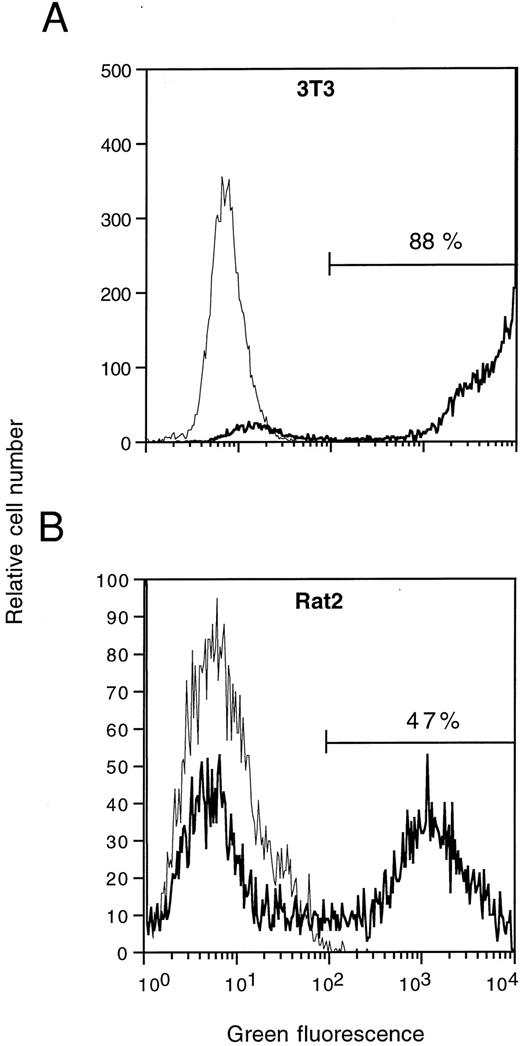 Fig. 2. Flow cytometric analysis of EGFP expression in NIH 3T3 (A) and Rat2 (B) cells transduced with aMFG-EGFP retroviral-containing supernatant. The corresponding profiles for cells mock-transduced with GP+envAm12-derived supernatant (thin lines) are overlaid for comparison. Percentages of cells positive for EGFP expression are indicated.