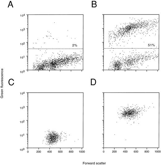 Fig. 6. Demonstration of EGFP expression in individual isolated spleen colonies and GM-CFU derived thereof. Mice were injected with MFG-EGFP–transduced murine BM cells and 13 days later individual spleen colonies were dissected. The viable cells were analyzed by flow cytometry and cultured in standard colony assays for the presence of in vitro clonogenic progenitor cells. Examples are shown of an EGFP-negative (A) and EGFP-positive (B) spleen colony as well as a representative GM-CFU derived from these colonies (C and D, respectively). Percentages of cells positive for EGFP expression are indicated.