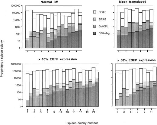 Fig. 7. Distribution of erythroid, granulocyte/macrophage, and megakaryocytic progenitor cells in individual dissected spleen colonies derived from primary normal BM cells, total mock-transduced, and total MFG-EGFP–transduced BM cells. For the mock transduction of BM cells supernatant derived from the corresponding packaging cell line was used.