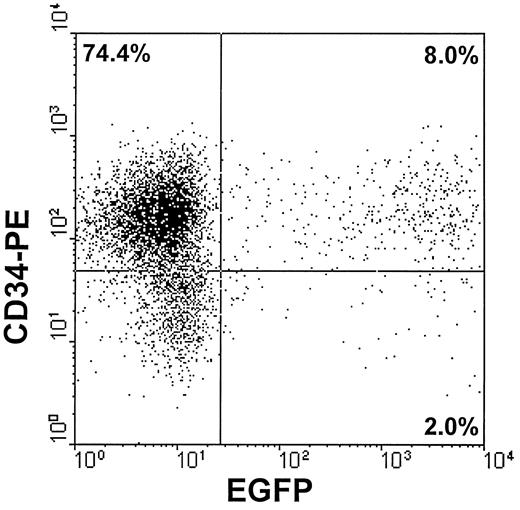 Fig. 3. A representative FACS analysis of human cord blood hematopoietic cells after transduction with PA317/EGFP1 supernatants for 4 consecutive days. Cells were stained at day 4 with phycoerythrin-labeled anti-CD34 monoclonal antibody (Clone 8G12; Becton Dickinson, San Jose, CA). The dot plot represents CD34 versus EGFP expression in the target cells. Percentages of analyzed events are shown for each cell subpopulation.
