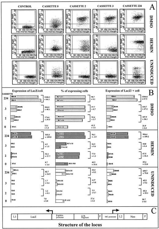 Fig. 5. Analysis of cells with cassettes 2, 3, or 234 integrated at RL1 in the presence of MCNeo. (A through C) All experiments were performed exactly as described in Fig 4. This analysis confirms the conclusion of Fig 3 and demonstrates that presence of a cis-linked transcription unit has significant effects on both probability of expression and rate of transcription.