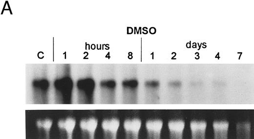 Fig. 6. Regulation of bcl-2 expression in PLB-985 cells. Northern blots of: (A) cells treated with 1.25% DMSO for 1 hour to 7 days; (B) cells treated with either 9-cis- (lanes 1), 13-cis-(lanes 2), or all-trans-RA (lanes 3) for 1, 2, 3, 4, and 7 days; and (C) cells treated with 9-cis-RA for 1 to 48 hours. Lane C contains control normal cell RNA. (D) Western blot showing downregulation of bcl-2 protein in PLB-985 and NB4 cells treated with 9-cis-RA for 1, 2, 3, 4, and 7 days. Ten micrograms of protein extract was separated on a 15% SDS-PAGE, transferred to a membrane, and probed with an α-bcl-2 antibody using ECL, described in Materials and Methods. Lane C contains control normal cell protein.