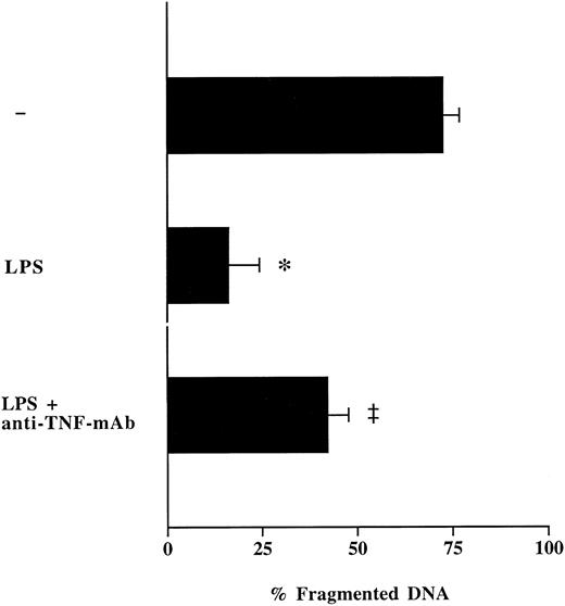 Fig. 5. Effect of anti–TNF-α-MoAb on LPS-induced suppression of neutrophil apoptosis. Freshly isolated neutrophils (1 × 106/mL) from healthy humans were cultured with LPS (1 μg/mL) in the presence or absence of neutralizing anti–TNF-α-antibodies (10 μg/mL) during 16 hours. Neutrophil apoptosis was analyzed by flow cytometry after permeabilization with ethanol and staining with propidium iodide. Data are reported as the percentage of fragmented nuclei reflecting the relative proportion of apoptotic cells. Results represent the mean ± SEM of three separate experiments performed with neutrophils isolated from three different healthy individuals. *P < .05 without agent versus LPS; ‡P < .05 without anti–TNF-α-MoAb versus with anti–TNF-α-MoAb.