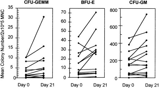 Fig. 3. Comparison of BM progenitor recovery before treatment with amifostine and after day 21.