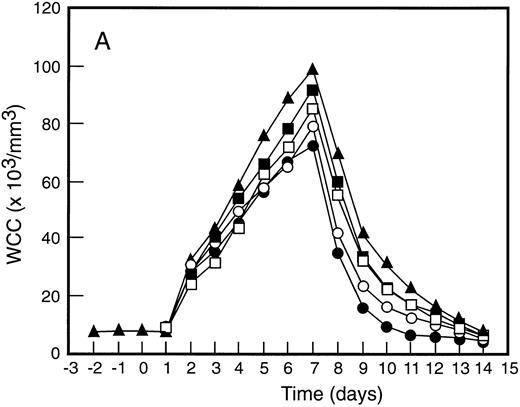Fig. 3. Mean levels of blood white cell counts and progenitor cells for patient cohorts treated with G-CSF alone (•, n = 18), SCF 5 μg/kg/d plus G-CSF (○, n = 5), SCF 10 μg/kg/d plus G-CSF (▪, n = 11), or SCF 15 μg/kg/d plus G-CSF (□, n = 10). Results are also shown for the patient cohort that received SCF pretreatment for 3 days and 7 days concurrent treatment with G-CSF (▴, n = 18). Time is shown relative to the commencement of G-CSF. Results shown are white cell count (A), d7 GM-CFC (B), d14 GM-CFC (C), and BFU-E (D).
