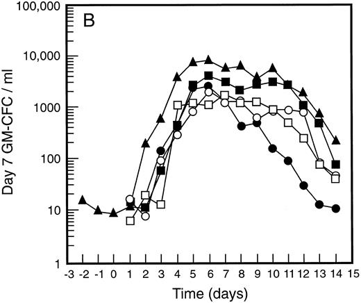 Fig. 3. Mean levels of blood white cell counts and progenitor cells for patient cohorts treated with G-CSF alone (•, n = 18), SCF 5 μg/kg/d plus G-CSF (○, n = 5), SCF 10 μg/kg/d plus G-CSF (▪, n = 11), or SCF 15 μg/kg/d plus G-CSF (□, n = 10). Results are also shown for the patient cohort that received SCF pretreatment for 3 days and 7 days concurrent treatment with G-CSF (▴, n = 18). Time is shown relative to the commencement of G-CSF. Results shown are white cell count (A), d7 GM-CFC (B), d14 GM-CFC (C), and BFU-E (D).