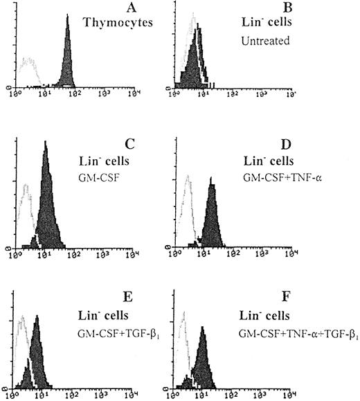 Fig. 5. TGF-β1–induced regulation of Fas expression on Lin− BM cells. Fifty thousand Lin− BM cells were cultured in 96-well microtiter plates in complete IMDM and cytokines as indicated at predetermined optimal concentrations for 44 hours at 37°C and 5% CO2 in air. Freshly isolated thymocytes (A), Lin− BM cells (B), as well as cultured Lin− cells (C through F ) were stained with an FITC-conjugated anti-Fas antibody (Jo2) or irrelevant control hamster IgG and analyzed by flow cytometry as described in Materials and Methods. (C and D) Fas expression after culturing Lin− BM cells in GM-CSF for 44 hours, in the absence or presence of TNF-α, respectively. (E and F ) Fas expression of Lin− BM cells cultured in GM-CSF + TGF-β1 after 44 hours of incubation in the absence or presence of TNF-α, respectively. For all panels the Y-axis represents relative cell number and the X-axis represents relative fluorescence intensity. One representative experiment (of three) is shown. Gray lines represent the control antibody.