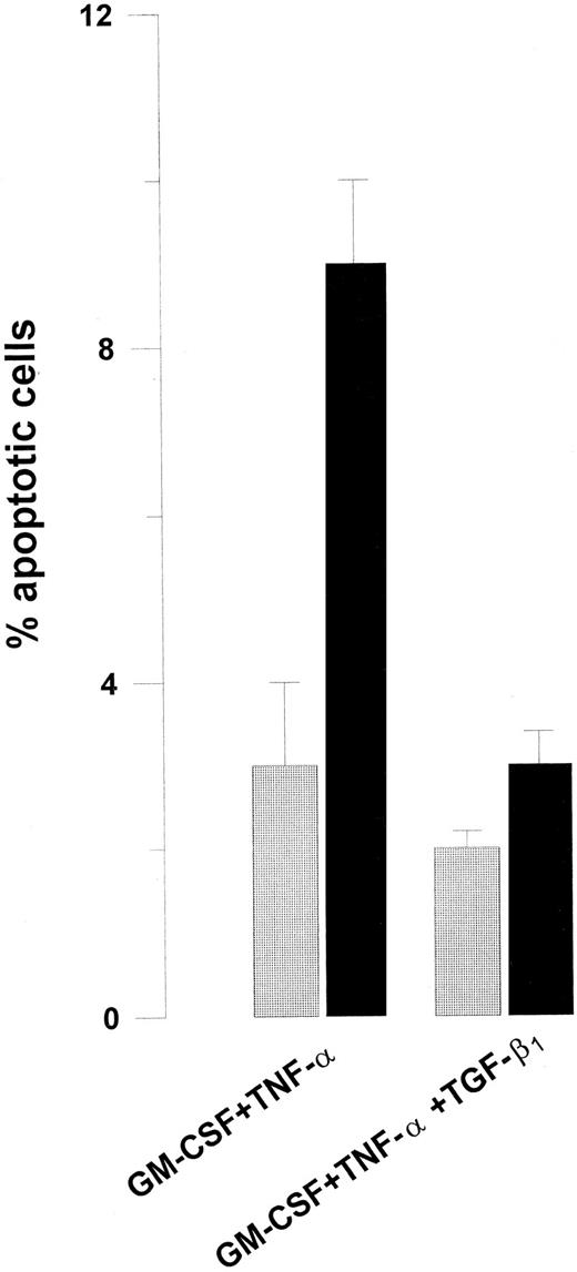 Fig. 7. TGF-β1 inhibits Jo2-induced apoptosis of Lin− BM cells. Eighty thousand Lin− BM cells were cultured for 52 hours in 96-well microtiter plates in complete IMDM supplemented with cytokines as indicated. For the last 22 hours cultures were continued in the absence () or presence (▪) of 1 μg/mL Jo2. Cultures were analyzed for apoptotic cells as described in Materials and Methods. Freshly isolated Lin− BM cells contained less than 1% apoptotic cells (data not shown). An irrelevant hamster IgG control antibody (1 μg/mL) did not affect apoptosis or cell numbers (data not shown). Results represent the mean values of three independent experiments. Error bars show the SEM.