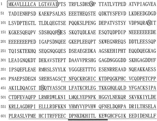 Fig. 1. Amino acid sequence of murine homolog of SC1/ECM2. The box marks a potential signal peptide. Potential N-glycosylation sites are indicated with circles. The osteonectin-like sequence is underlined with dashes, and the EF-hand Ca-binding site is underlined with a bold line.