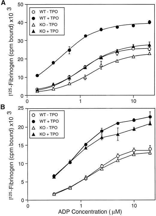 Fig. 3. Fibrinogen binding stimulated by ADP. (A) Platelets from wild-type (WT) and c-mpl-/- mice with and without addition of exogenous TPO. (B) Platelets from WT and TPO-/- mice with and without addition of exogenous TPO.