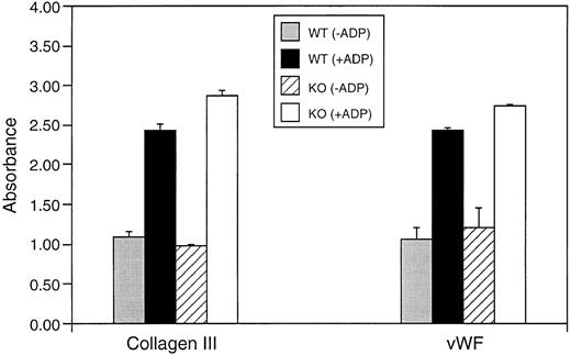 Fig. 4. Adhesion of washed platelets from wild-type (WT) and TPO/c-mpl double-knockout mice to immobilized collagen and vWF with and without ADP activation. Platelet attachment was quantified by staining for the lysosomal enzyme hexoseaminidase.