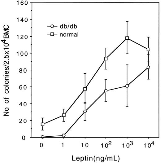 Fig. 1. Effects of varying concentrations of leptin on GM colony formation from 2.5 × 104 BMC of normal (□) and db/db mutant mice (○).