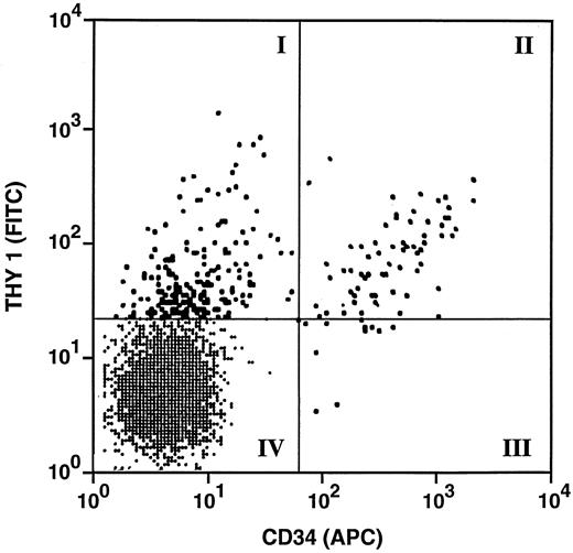 Fig. 3. FACS sort gates for the isolation of stromal progenitors from the CD38−, HLADR− fraction of fetal bone marrow cells. Four populations were sorted, based on their pattern of CDw90/Thy1 and CD34 expression. Note that there were relatively more CD34−, CDw/Thy-1+ cells compared to CD34+, CDw90/Thy-1 cells. The CD34+ and CD90+ cells are shown as large black dots; the CD34− and CDw90− cells were shown in the lower left quadrant.