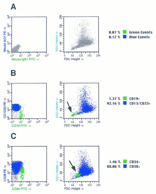 Fig. 5. Flow cytometric analysis of nonadherent cells in mixed CD34+ hematopoietic and stromal cell cultures. Suspensions of nonadherent cells from 3-week-old mixed stromal cell/hematopoietic cell culture initiated by CD34+ bone marrow cells were analyzed by flow cytometry. Cell suspensions containing 1 × 105 nonadherent cells were stained with fluorescently labeled CD13, CD19, CD33, CD38, and IgG isotope monoclonal antibodies as described in Materials and Methods. (A) FACS plots of nonadherent cells stained with antibodies Isotype control IgG1 monoclonal antibodies conjugated with PE and FITC. Nonspecifically stained cells are shown as large black dots and comprised 0.4% of the events in the data file. (B) FACS plots of nonadherent cells stained with antibodies CD13/33 PE and CD19 FITC. CD13/CD33+ myelomonocytic cells were present at frequency of 80% and CD19 B cells were present at a frequency of 1.4% and are shown as a large green block of dots. The position of the CD19+ cells in plot of forward scatter versus side scatter is shown by the arrow in the right hand panel. (C) FACS plots of nonadherent cells stained with antibodies CD38 PE CD34 FITC. CD38+, CD34− were 88.06%: 5% of the cells were CD34+ and are shown as large black dots in the left panels. The position of the CD34+ cells in the plot of forward scatter versus side scatter is shown by the arrow in the right hand panel.