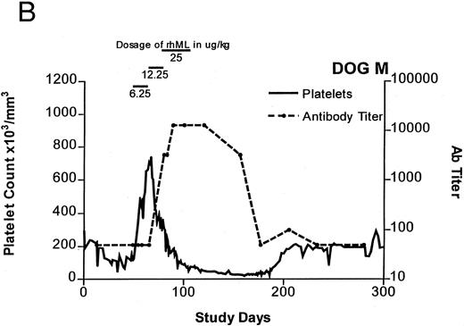 Fig. 1. Platelet counts and anti-rhML antibody titers for dogs repeatedly administered daily rhML. The schedule for dosing is shown at the top of the panel. Dog B was also administered recombinant human IL-6 for the days shown. Antibody (Ab) titers are expressed as the lowest titer of serum having an inhibitory concentration more than the IC50 for a standard antibody.