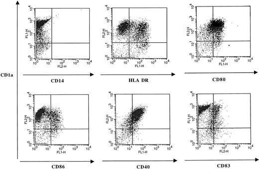 Fig. 10. Expression of CD1a, CD14, and accessory molecules on 14-day cultured CD34+ cells. After 14 days of CD34+ cell culture with GM-CSF, TNF-α, IL-4, and SCF, cells were obtained and double-stained with FITC- or PE- anti-CD1a and HLA-DR, CD80, CD86, CD40, and CD83 MoAbs. Irrelevant mouse Igs were used as a negative control.