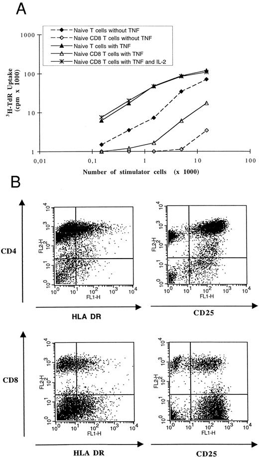 Fig. 3. AC-derived DCs induced activation and proliferation of naive allogenic T cells. (A) Graded numbers of irradiated DCs cultured with or without TNF-α were used as stimulator cells for 105 allogenic CD45RA+CD3+ T cells or 105 allogenic CD45RA+CD8+CD3+ T cells. IL-2 was added at 50 U/mL when indicated. Cell proliferation was evaluated by a 12-hour pulse with 3H-TdR. 3H-TdR incorporation of purified naive T cells ± IL-2 were substracted. Results are representative of four experiments using DCs and T cells from two distinct donors. (B) After 5 days of coculture of 104 TNF-α–treated DCs and 105 allogenic CD45RA+ CD3+ naive T lymphocytes, cells were obtained and stained with PE-CD4 or PE-CD8 MoAbs and FITC–HLA-DR or FITC-CD25 MoAbs. Negative controls were obtained with irrelevant isotype-matched murine MoAbs. No viable CD1a+ DC was detectable at this time. At the beginning of coculture, less than 1% of T cells expressed HLA-DR and less than 3% expressed CD25.