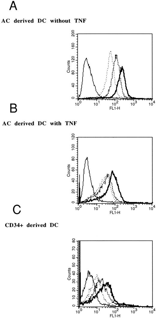 Fig. 5. FITC-dextran endocytosis by AC-derived and CD34+AC-derived DCs. DCs obtained from ACs in the presence of GM-CSF and IL-4 without (A) or with (B) TNF-α or from CD34+ progenitors in the presence of GM-CSF, IL-4, TNF-α and SCF (C) were incubated for various lengths of time in medium containing 1 mg/mL of FITC-dextran and analyzed on a FACScan apparatus after extensive washings. Solid lines, background uptake at 4°C; dotted lines, 7 minutes at 37°C, broken lines, 15 minutes at 37°C; bold lines, 30 minutes at 37°C. The data are representative of four experiments.